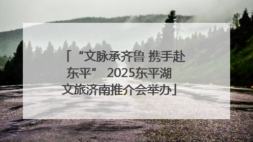 “文脉承齐鲁 携手赴东平” 2025东平湖文旅济南推介会举办